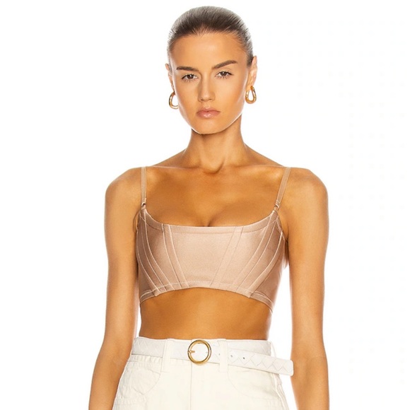Alexander Wang Tops - ALEXANDER WANG CORSET BRA, SZ 4 BEIGE NWT!